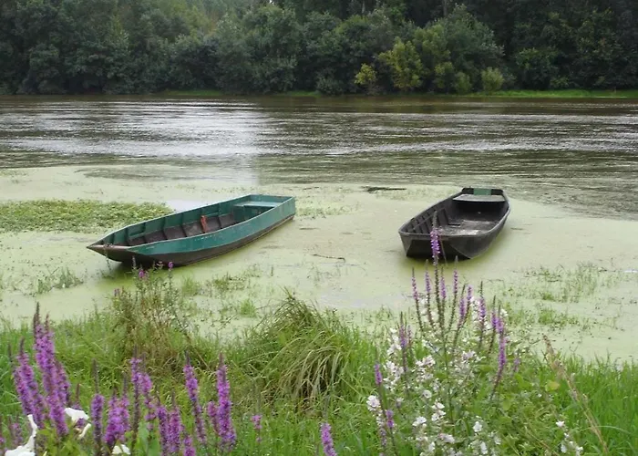 Appt Dans Maison D'architecte, Spa, Piscine & Jardin アパート Soucelles