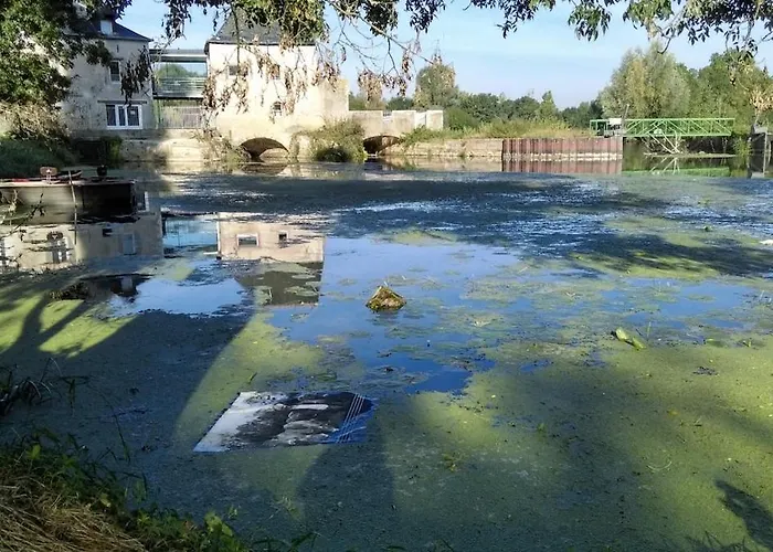 アパート Appt Dans Maison D'architecte, Spa, Piscine & Jardin Soucelles