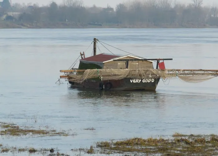 アパート Appt Dans Maison D'architecte, Spa, Piscine & Jardin Soucelles